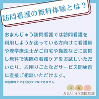 画像250