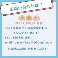 画像252