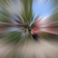 画像274