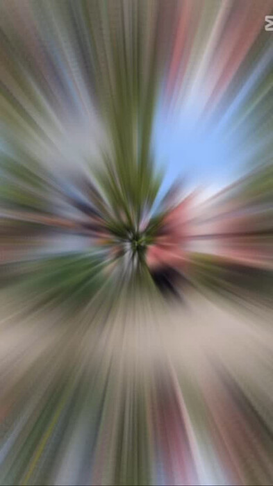 画像274