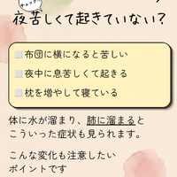 画像366